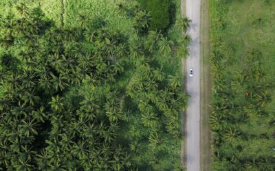 Duurzaamheid en maatschappij: Samen naar een verantwoorde toekomst